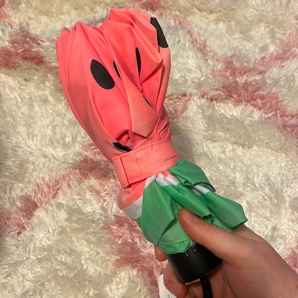 Watermelon umbrella ☂